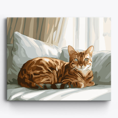 Katzen