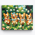 Parada w ogrodzie Corgi