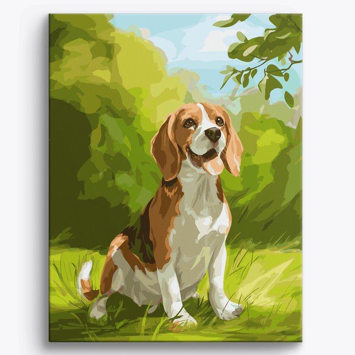 Beagle-Wiese