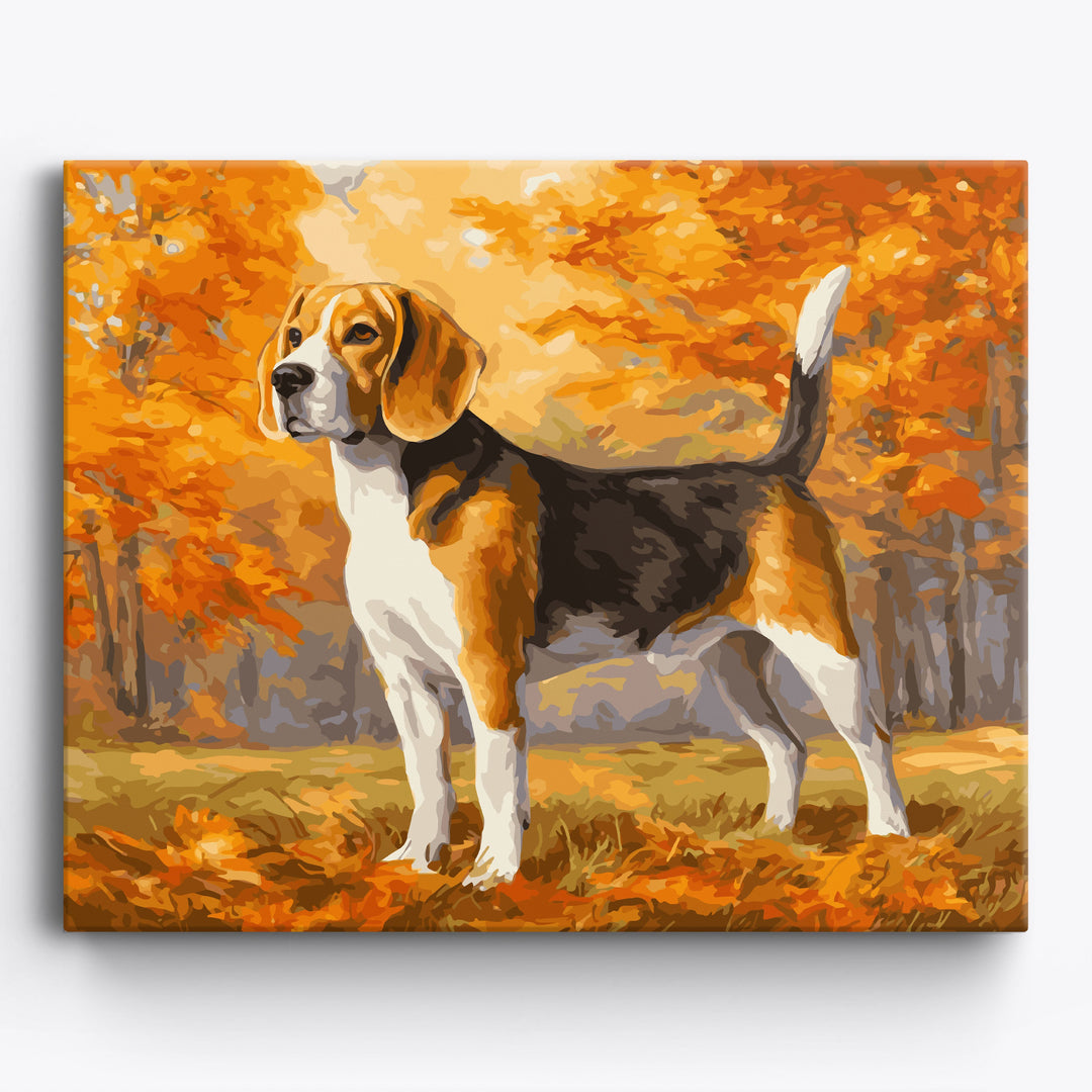 Beagle im Herbst
