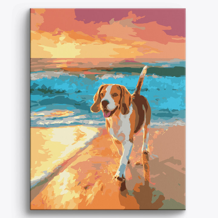 Plaża Beagle