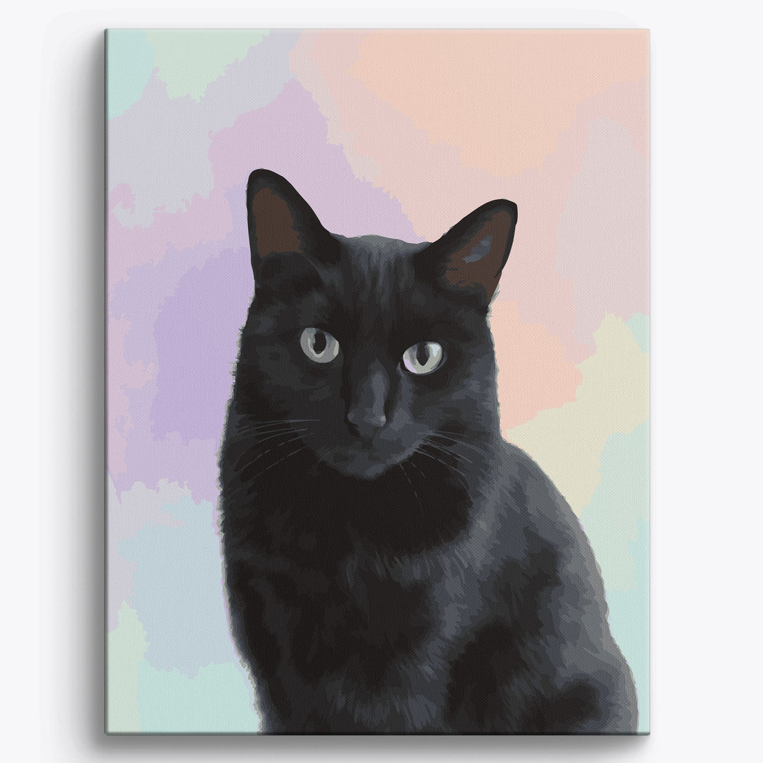 Schwarze Katze Studio Portrait