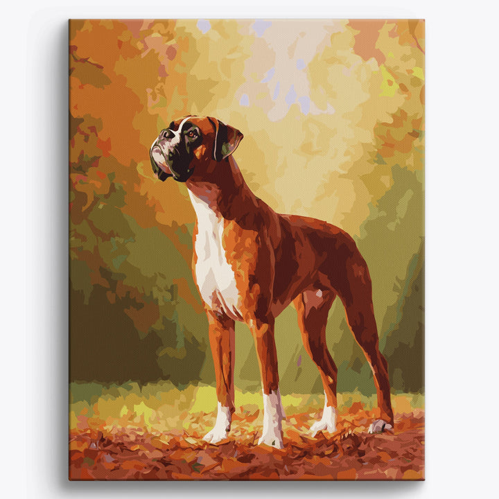 Mutiger Boxer