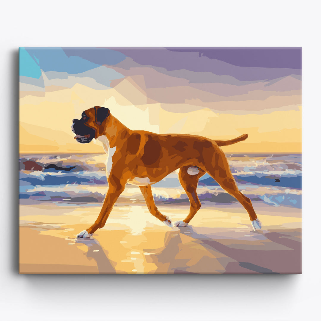Boxerstrand