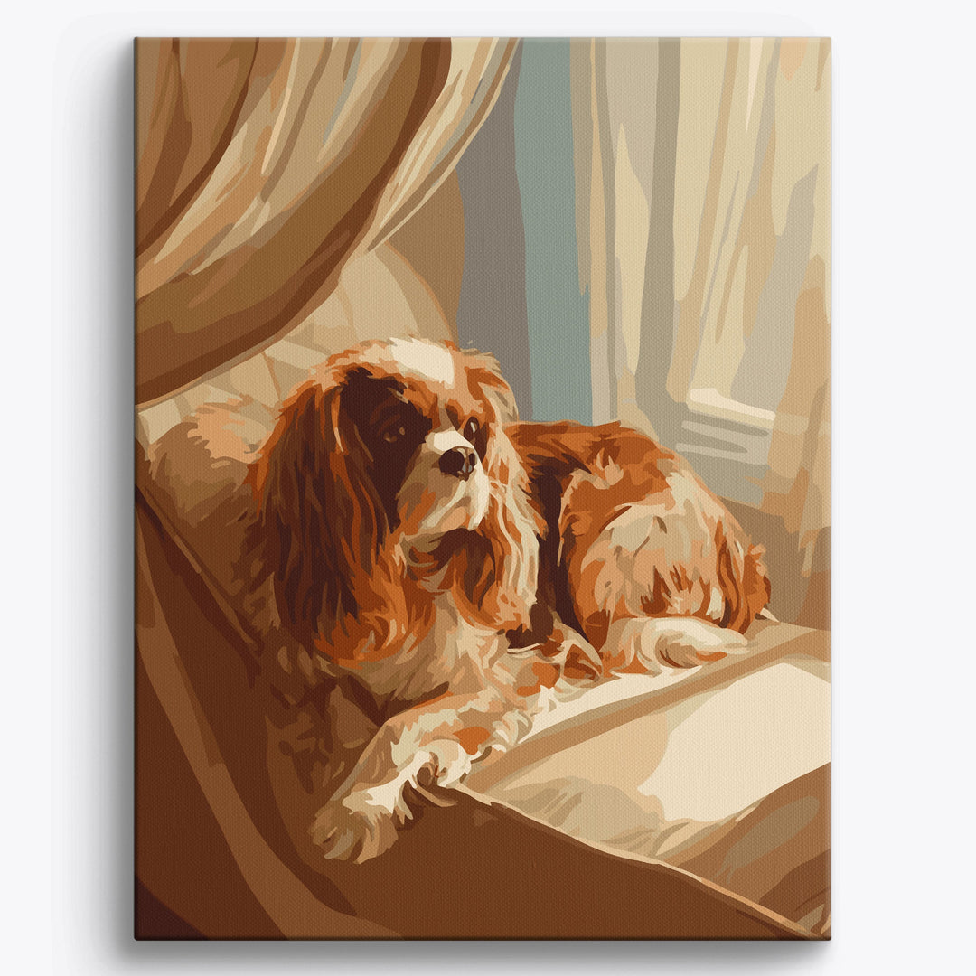 Gemütlicher Cavalier King