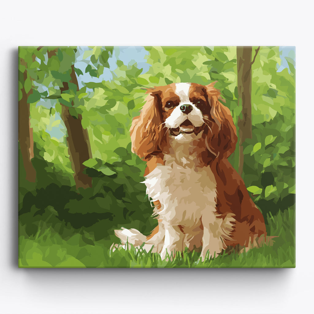 Cavalier King Forest