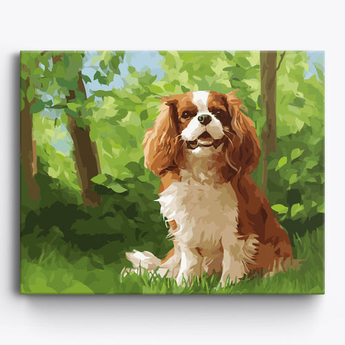 Cavalier King Forest