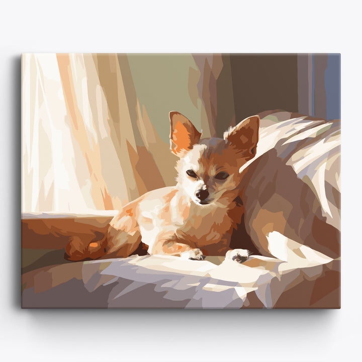 Chihuahua-Charme