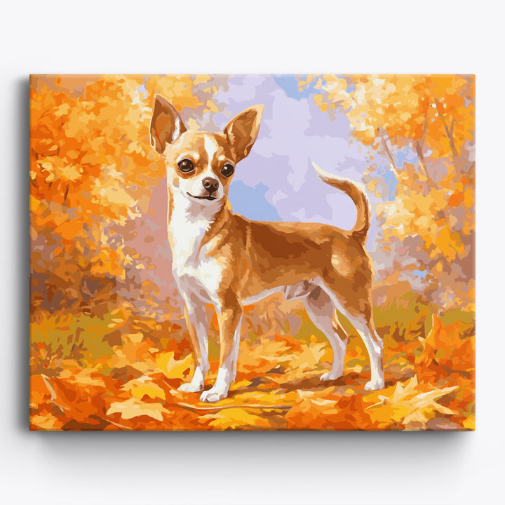 Herbst Chihuahua