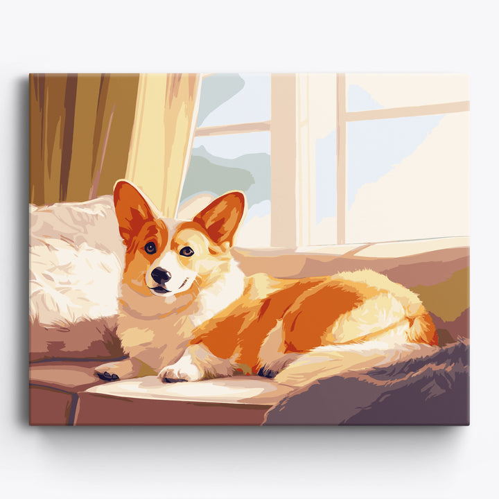 Przytulny corgi