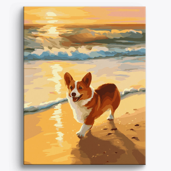 Corgi-Küste
