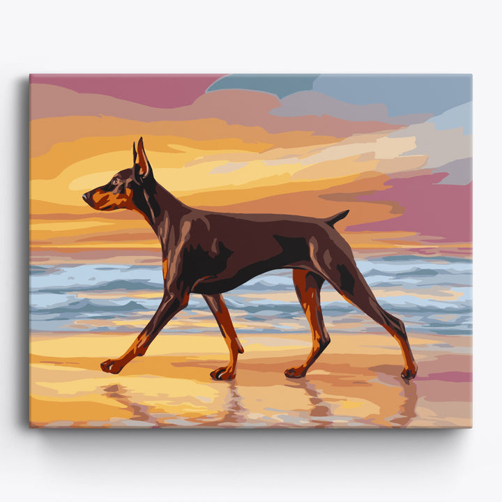 Dobermann bei Sonnenuntergang