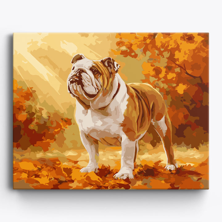 Herbst-Englische Bulldogge