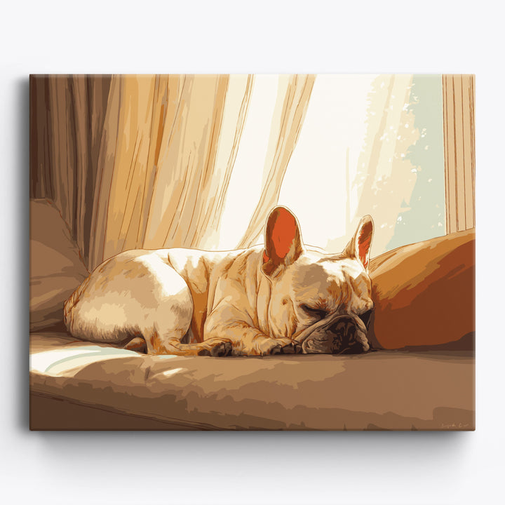 Französische Bulldogge Nickerchen