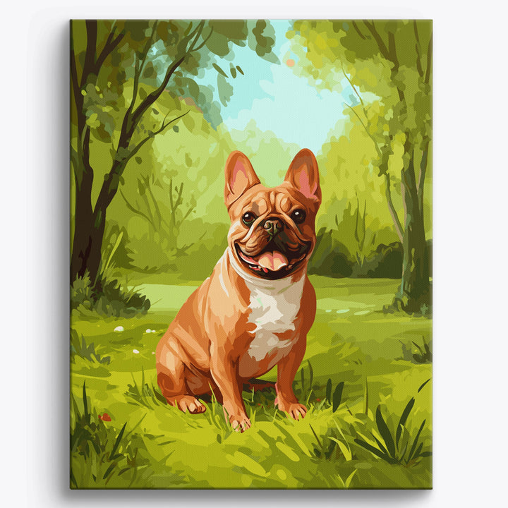 Französische Bulldogge Forest