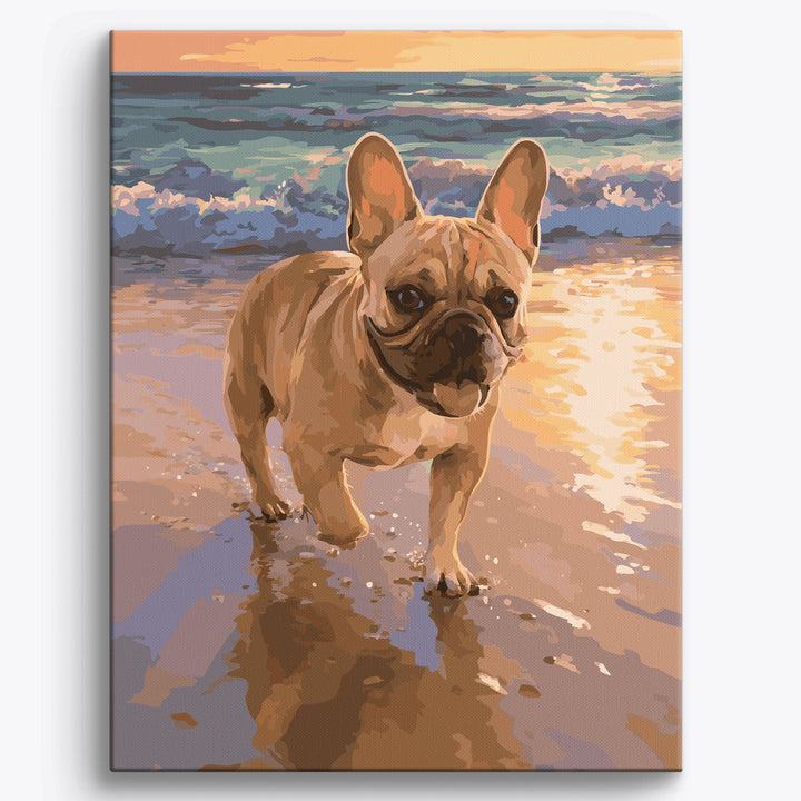 Französische Bulldogge Strand