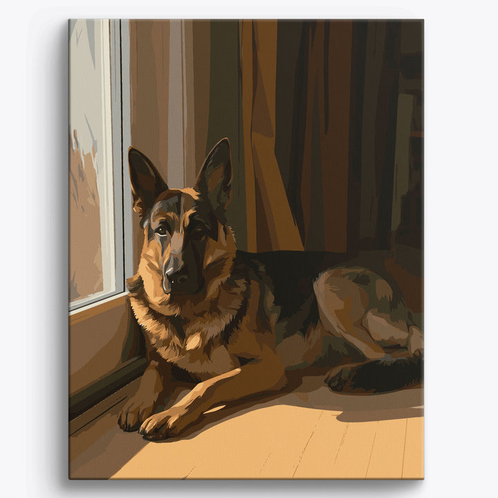 Schäferhund Schatten
