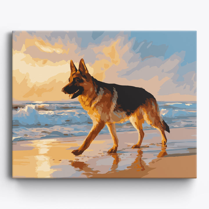 Deutscher Schäferhund Ufer