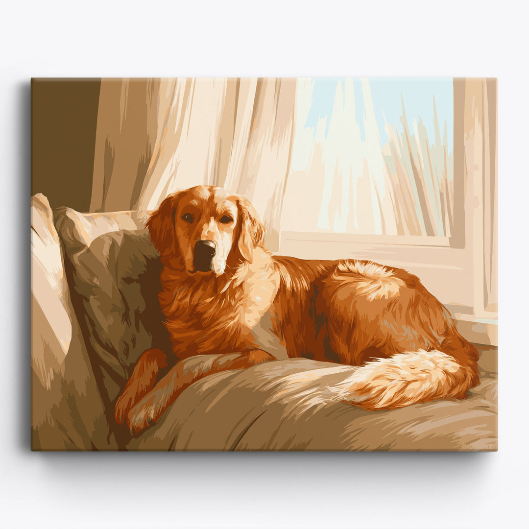Ruhender Retriever