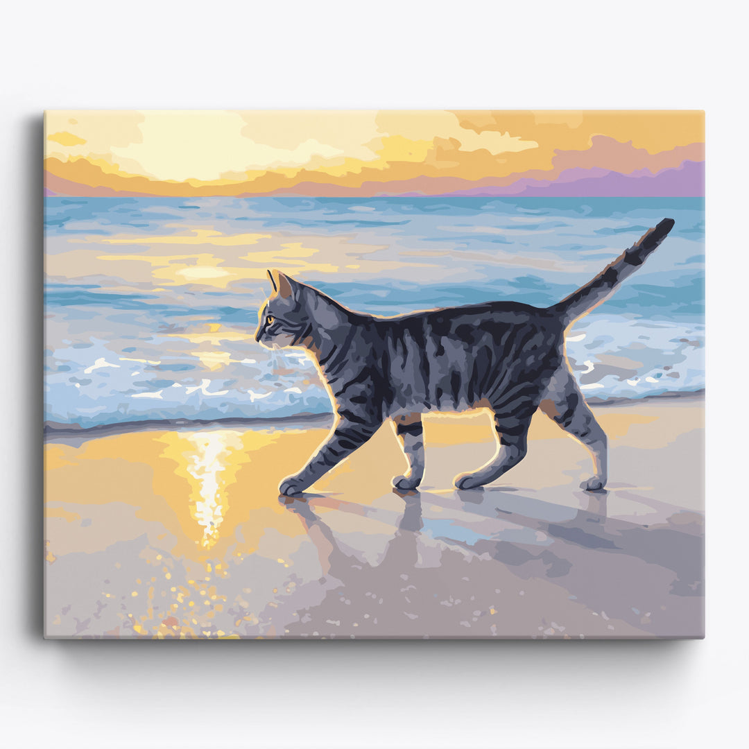 Sunset Tabby