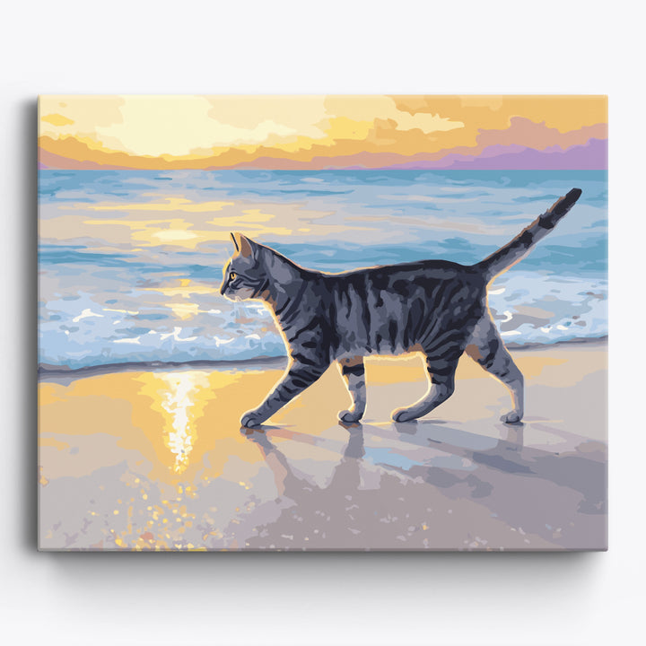 Sunset Tabby