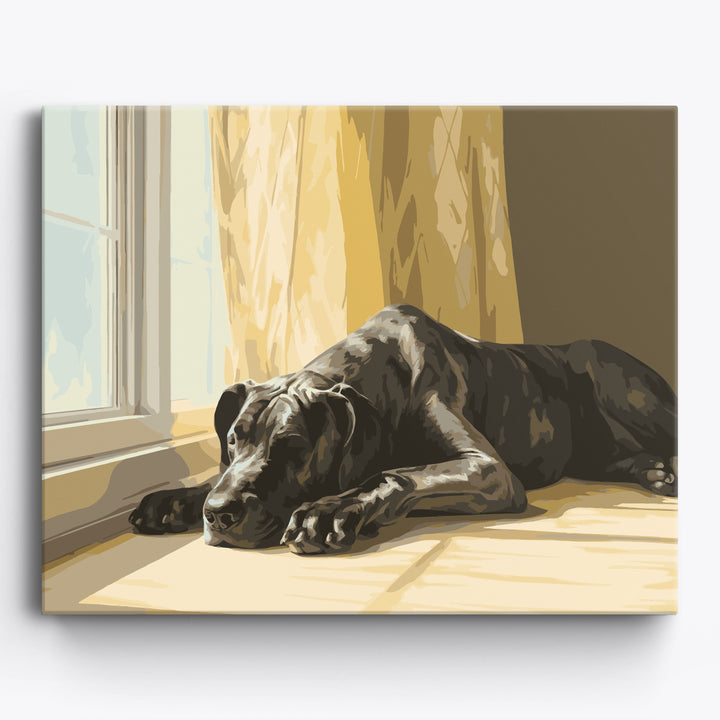 Deutsche Dogge Nickerchen
