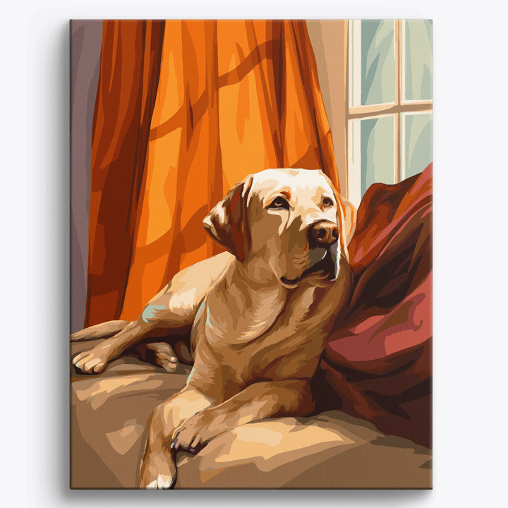 Liegender Labrador