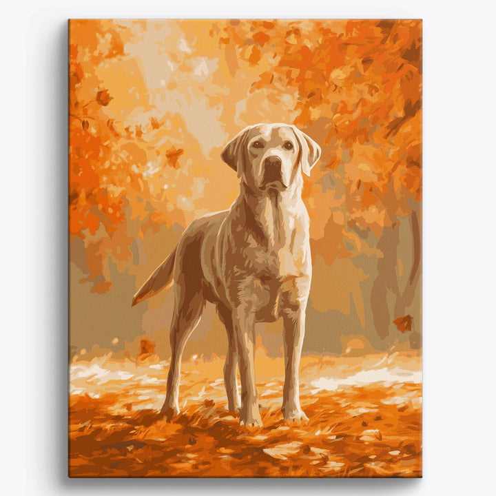 Blättriger Labrador Retriever