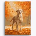 Labrador retriever wśród liści