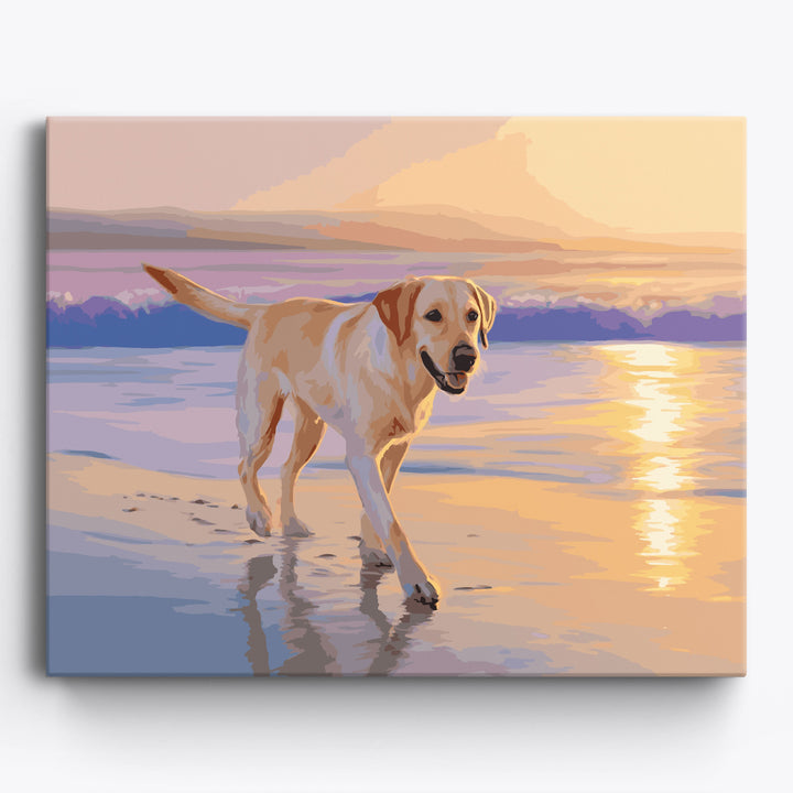 Strandspaziergang mit Labrador