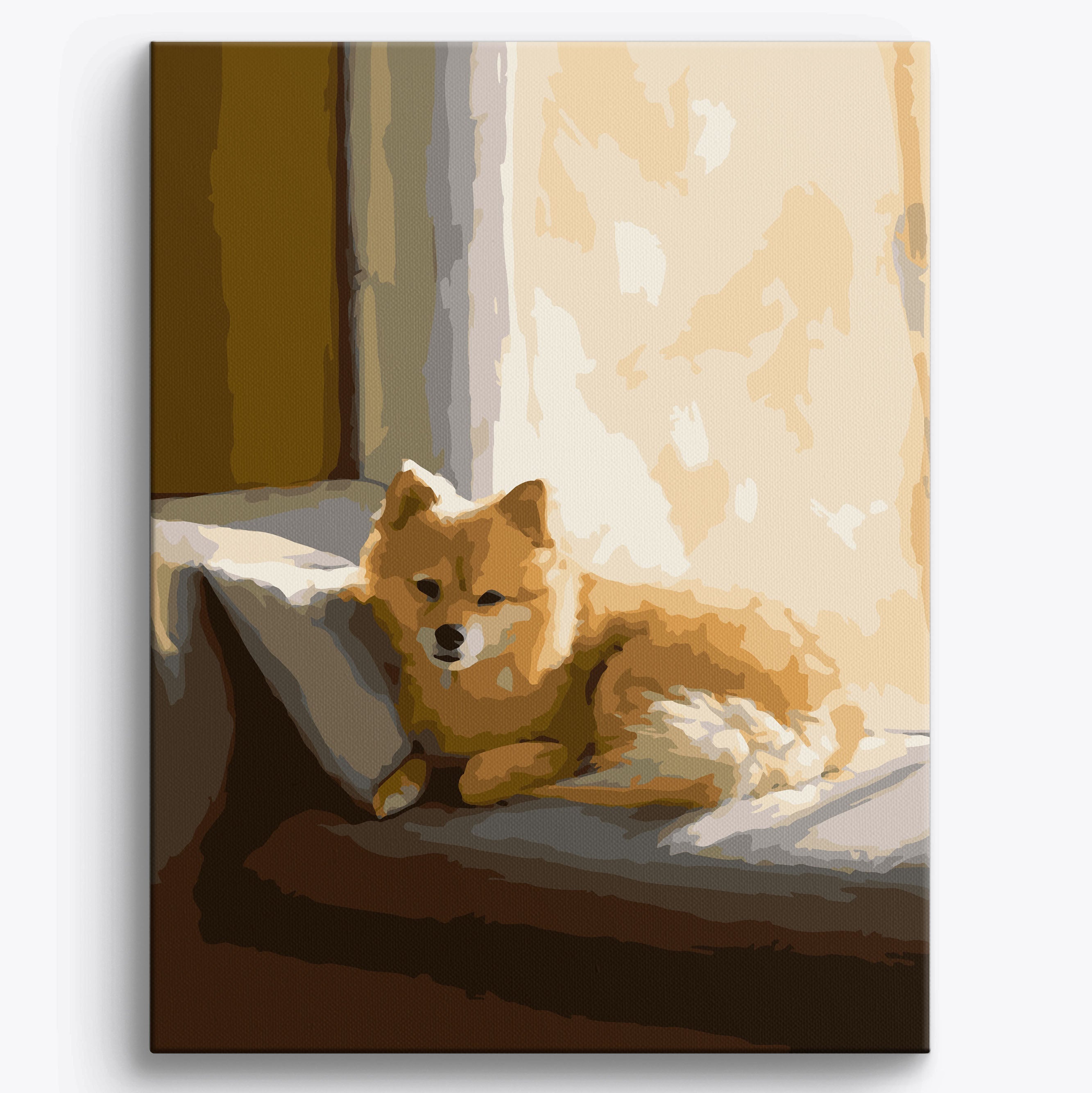 Rozpieszczony pomeranian