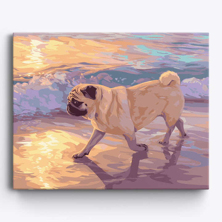 Strandbewohnender Mops