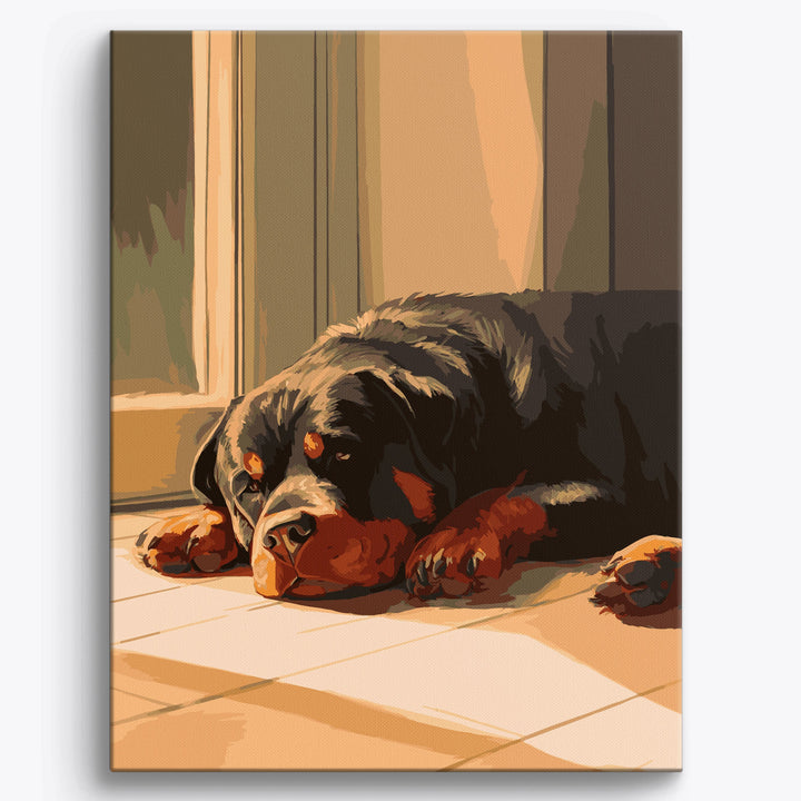 Ruhender Rottweiler