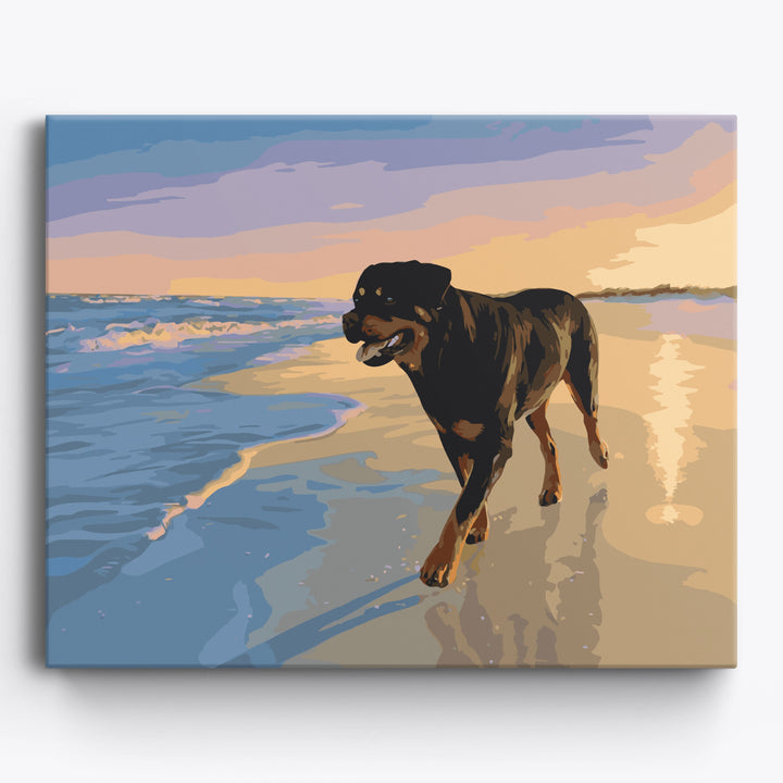 Rottweiler Strand