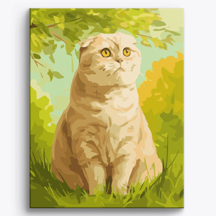 Schottische Faltohrkatze Garten