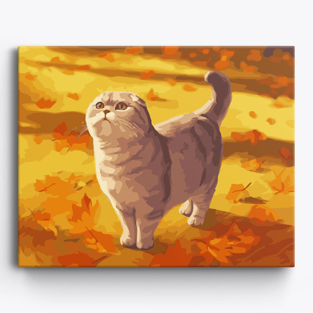 Herbst Scottish Fold