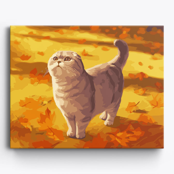 Herbst Scottish Fold