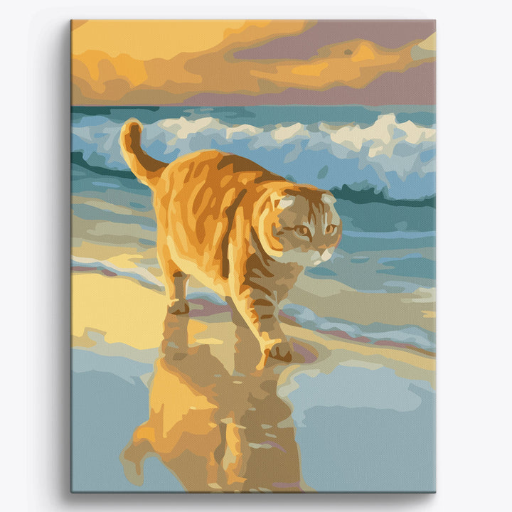 Plaża Scottish Fold