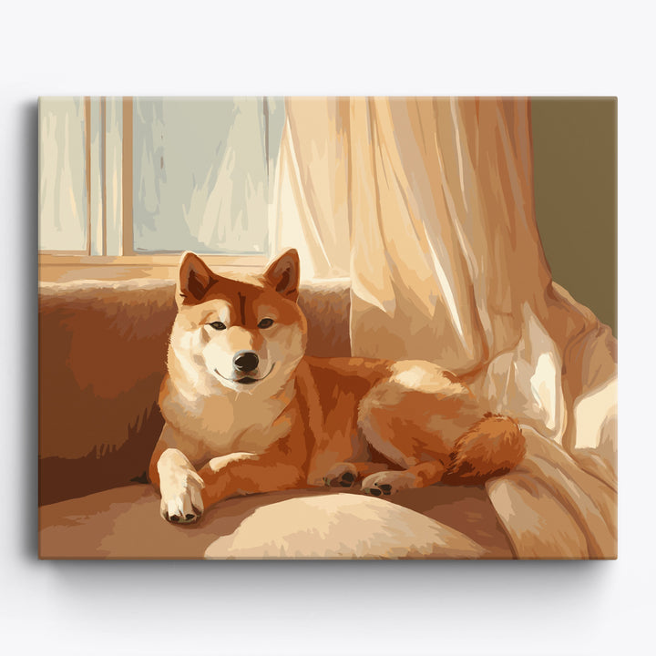 Shiba-Inu-Schatten
