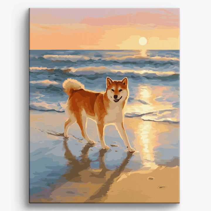 Sonnenuntergang Shiba-Ufer
