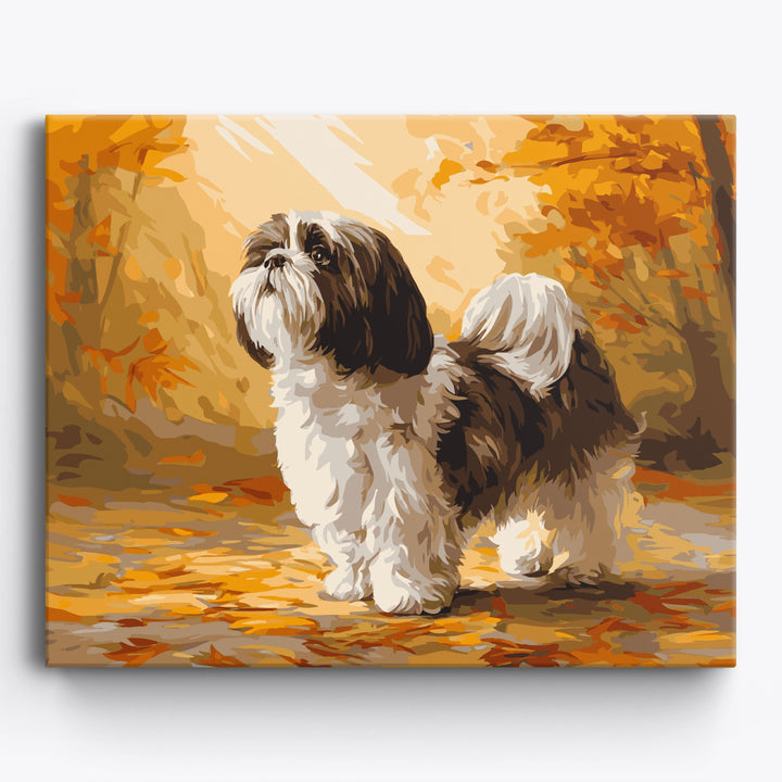Herbst Shih Tzu