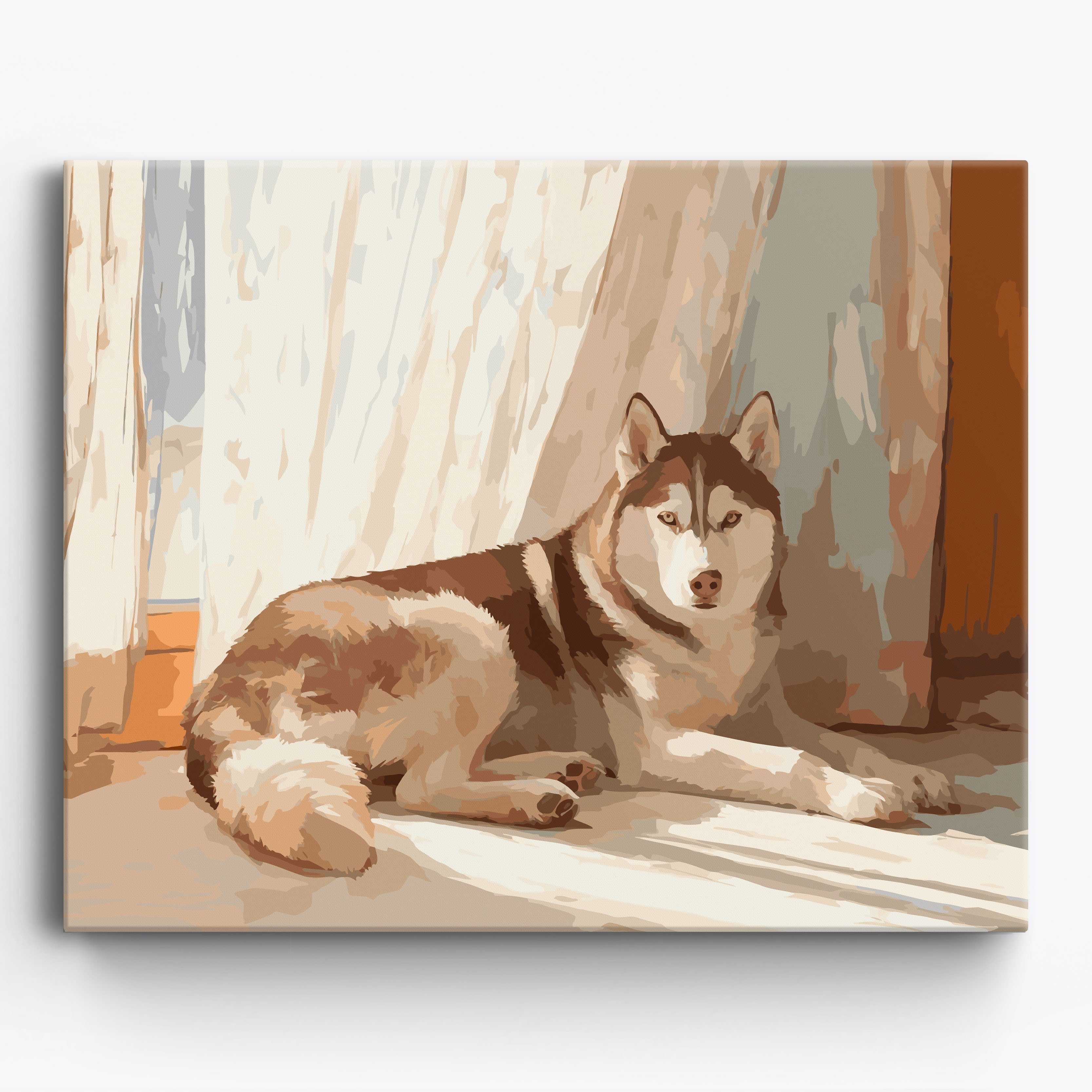 Siberian Husky Snooze