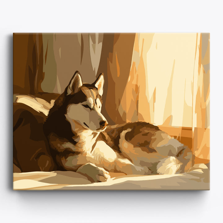Schläfriger Sibirischer Husky
