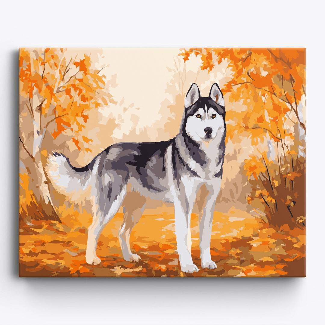 Jesienny husky