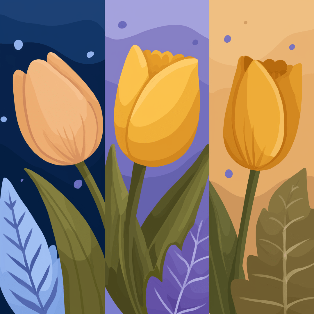 Tulpen-Trio