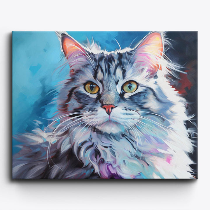 American Curl Katze Nr 1