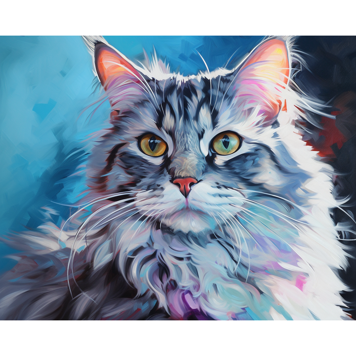American Curl Katze Nr 1