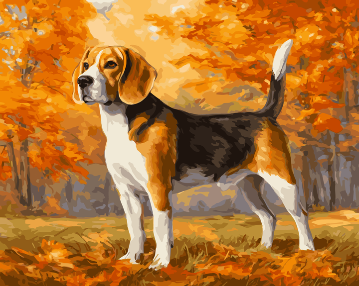 Beagle im Herbst