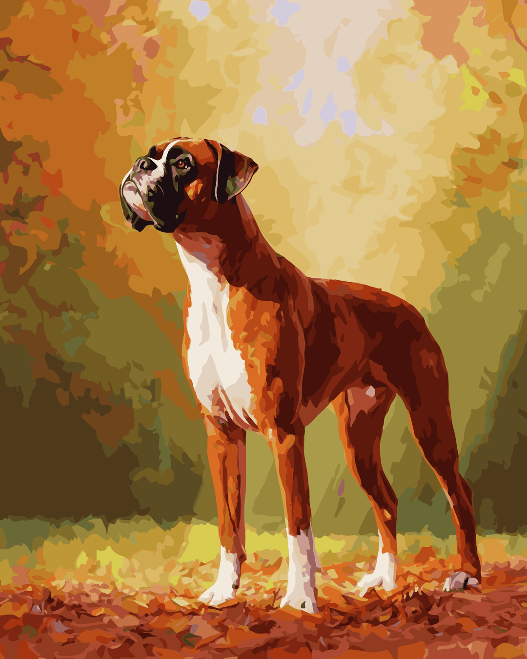 Mutiger Boxer
