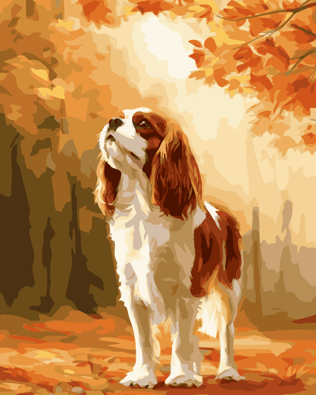 Cavalier King – Jesień